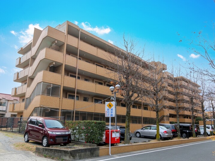 ダイアパレス大橋南弐番館