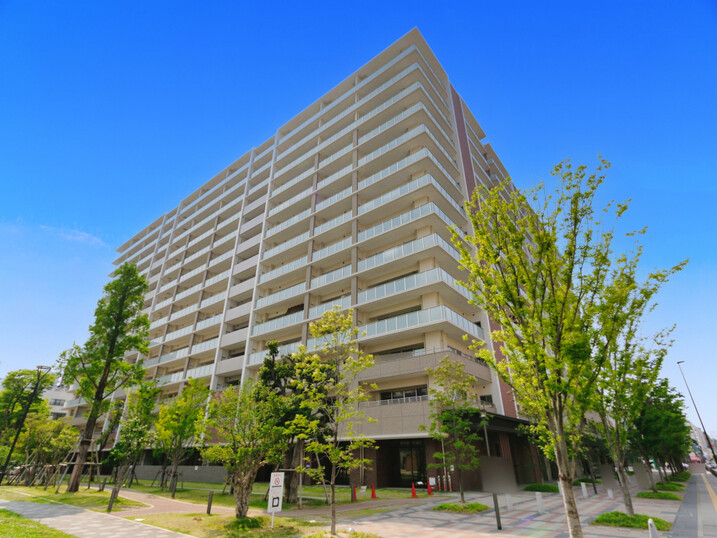 ＭＪＲ六本松