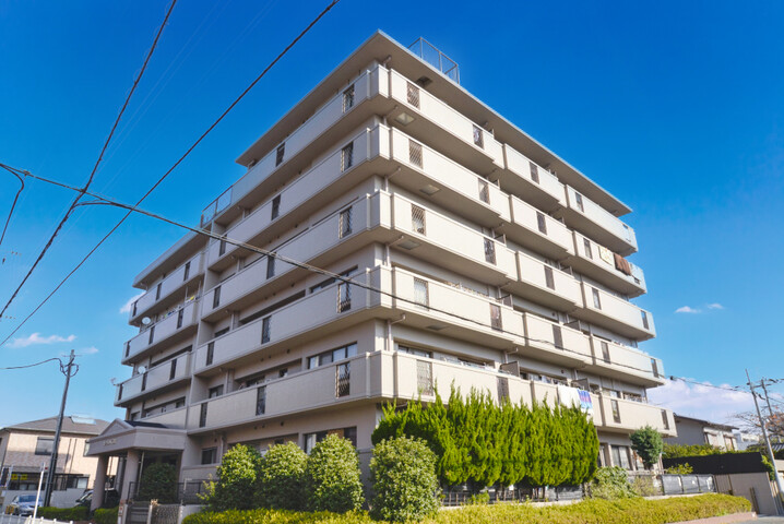 エンゼルハイム荒江