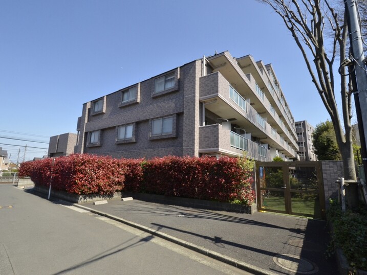 ゼファーひばりヶ丘学園町