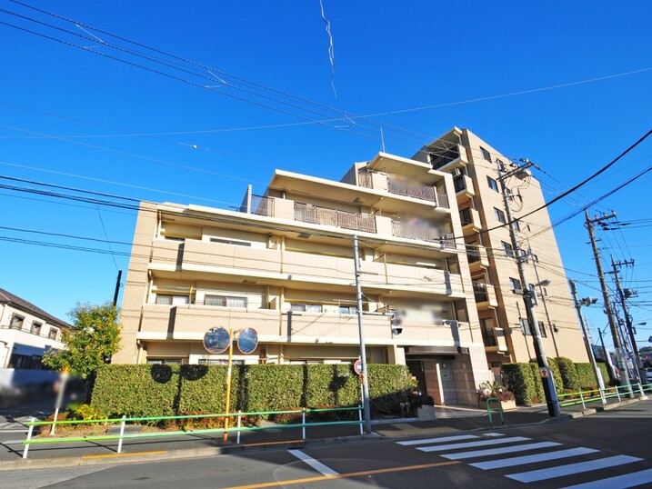 セルテシティオ亀有