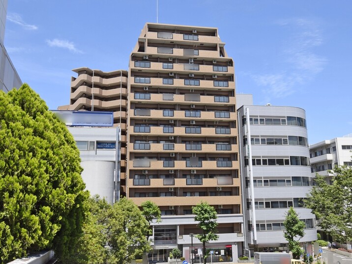 ライオンズステーションプラザ相模大野