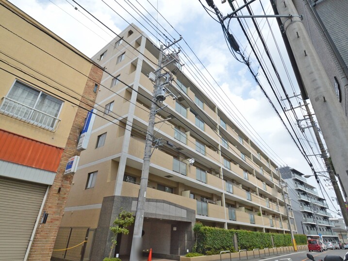 ルピナスかしわ台