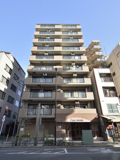 セザール根岸