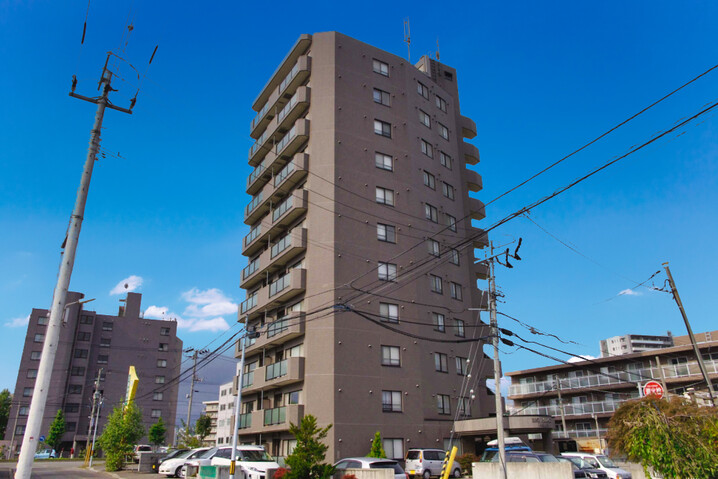 ビッグパレスひばりが丘