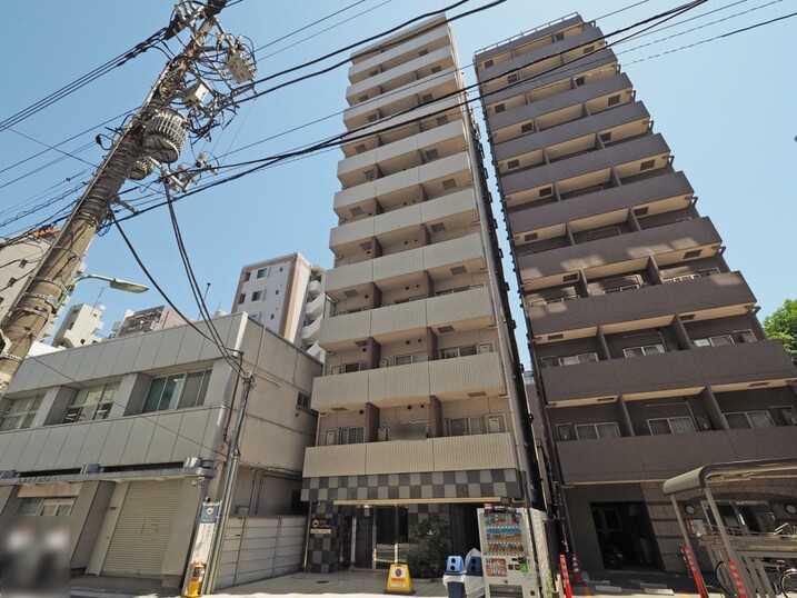 ガリシア大森