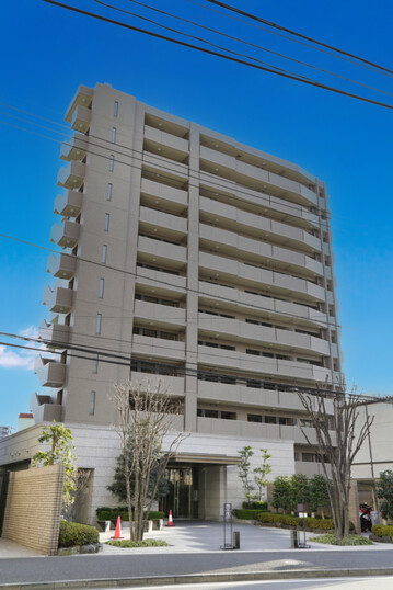 コスモハイセレサ川口本町
