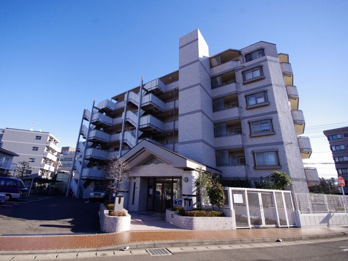 セザール富沢