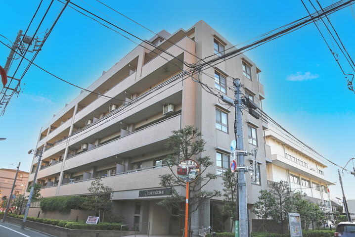 セザール第三江古田