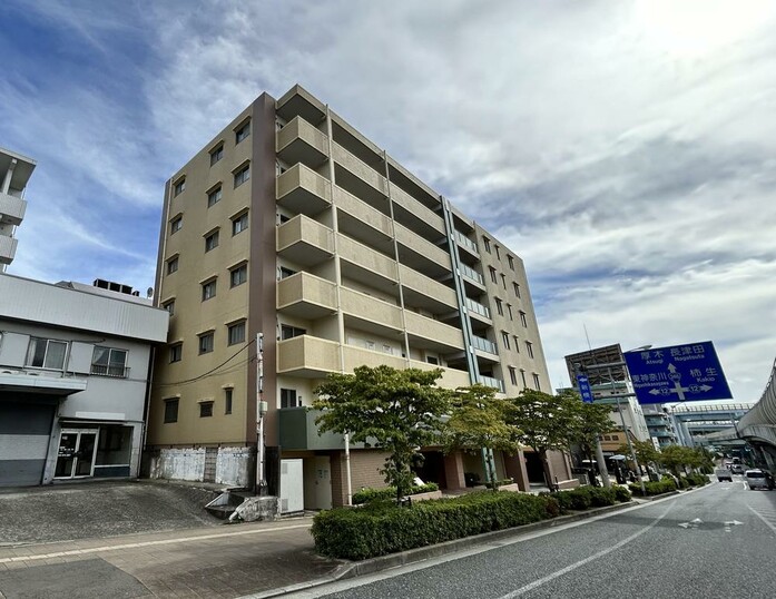 ウィライブ市が尾