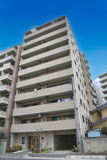 カテリーナ川口並木