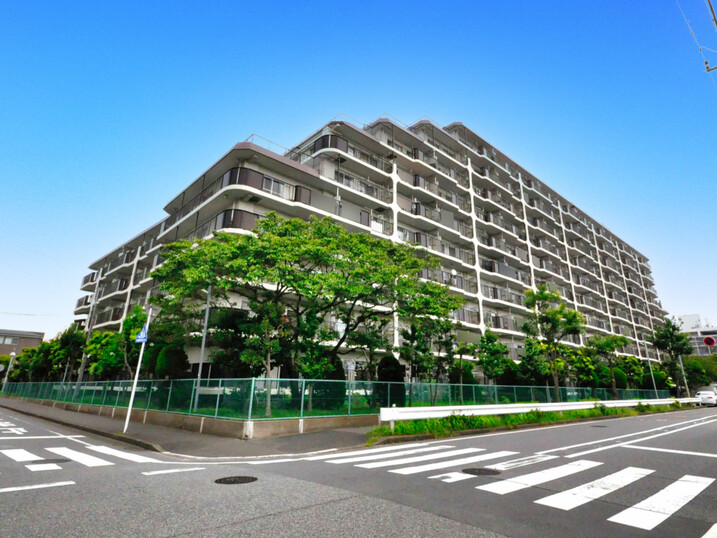 ソフトタウンニュー谷津遊園