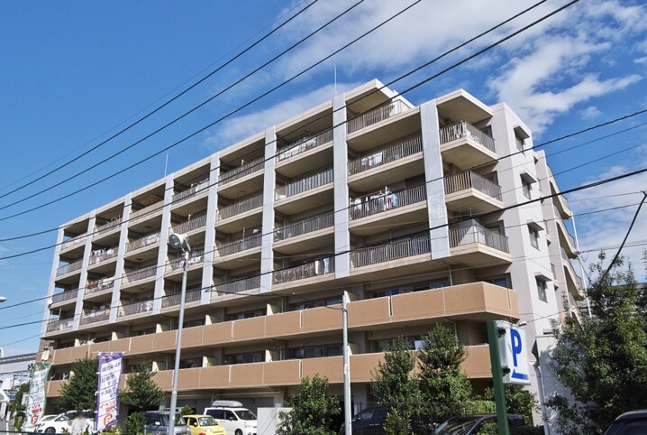 サンクレイドル桜街道