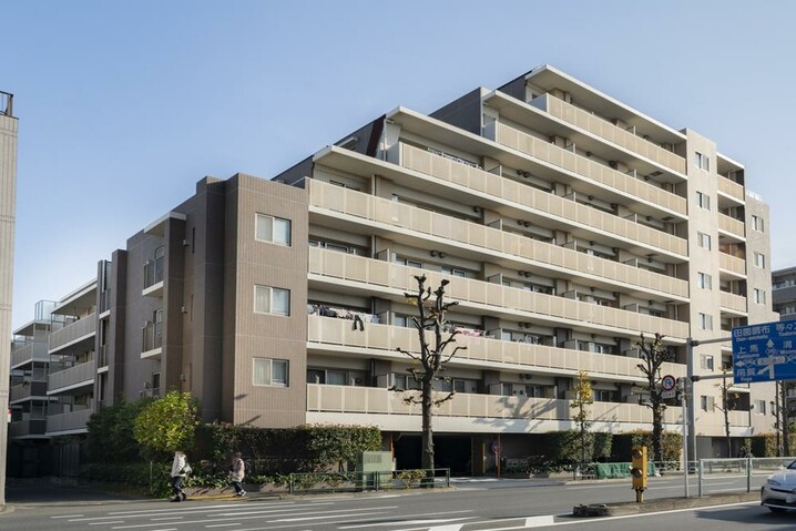 ルピナス用賀