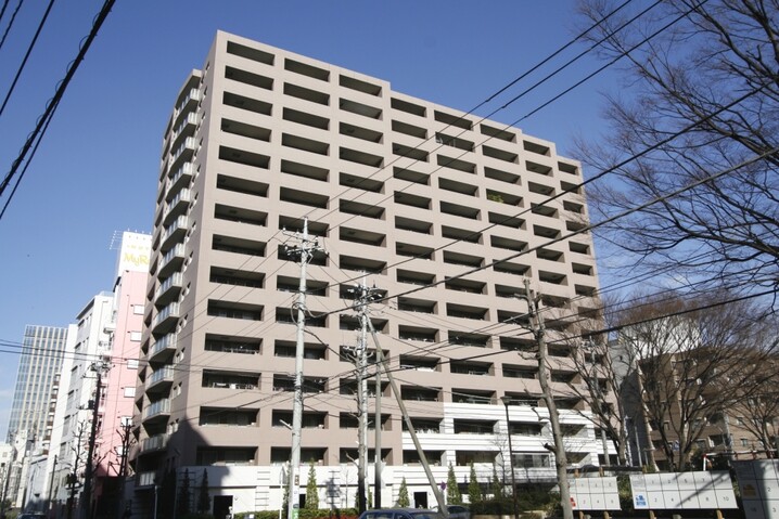 アデニウム新横浜
