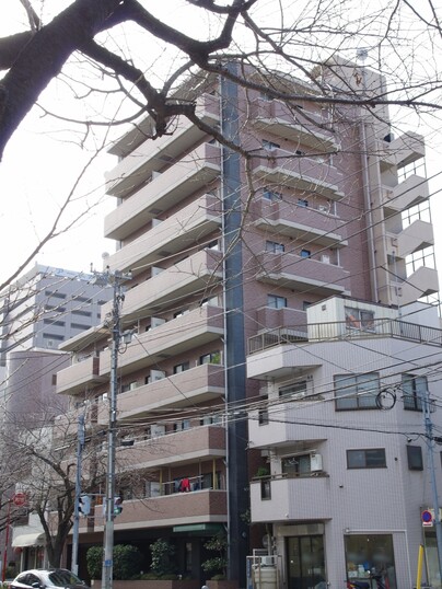 エクセルダイア大森