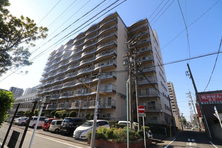 桜山アイリス
