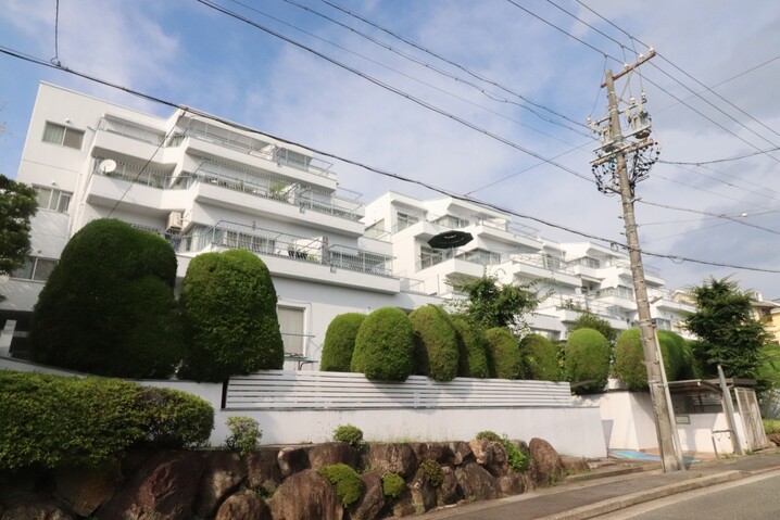 南ヶ丘アイリス