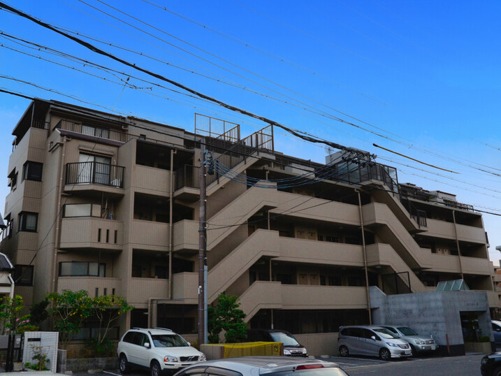 ルイシャトレ原