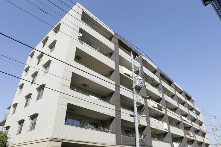ゼファー武蔵浦和グランリブス