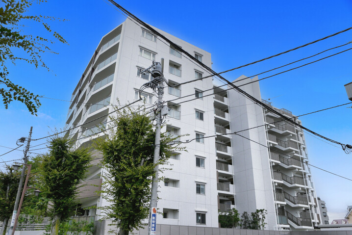 ルネサンスふじみ野けやき通り