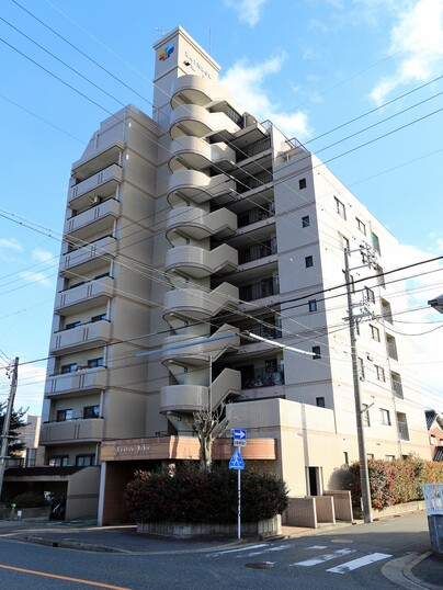レインボー惟信