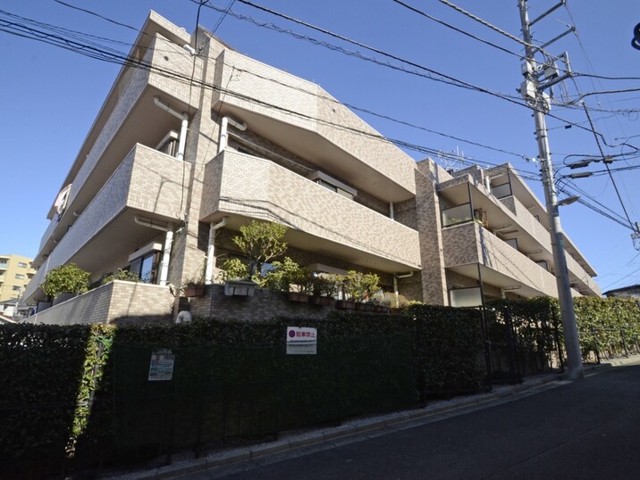 ライオンズガーデン成増
