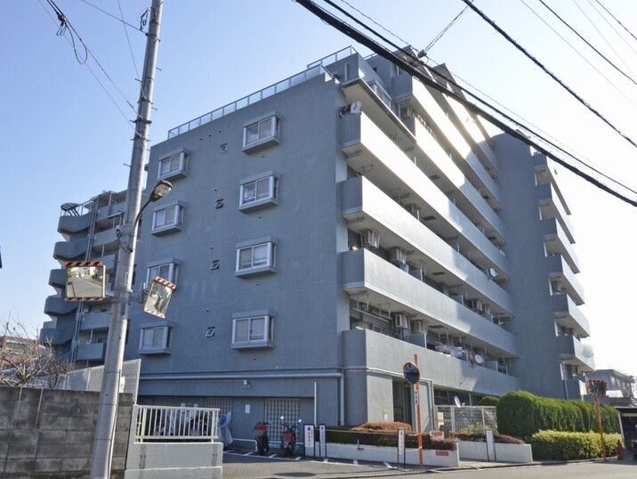 コスモ立川サングレイス