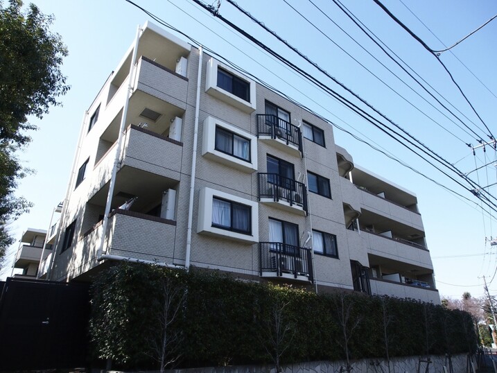 アデニウム千歳烏山