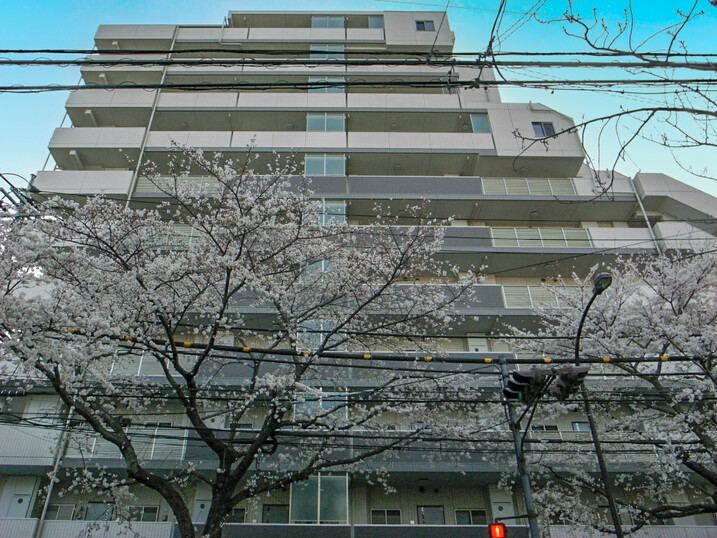 ベリスタ練馬江古田