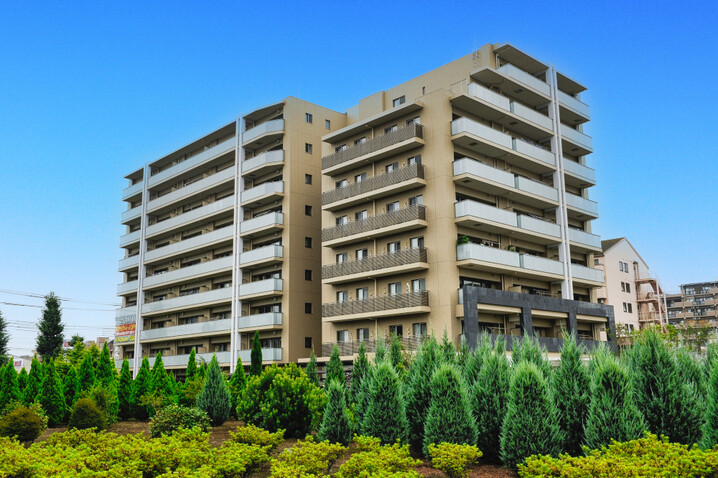 アデニウム府中白糸台