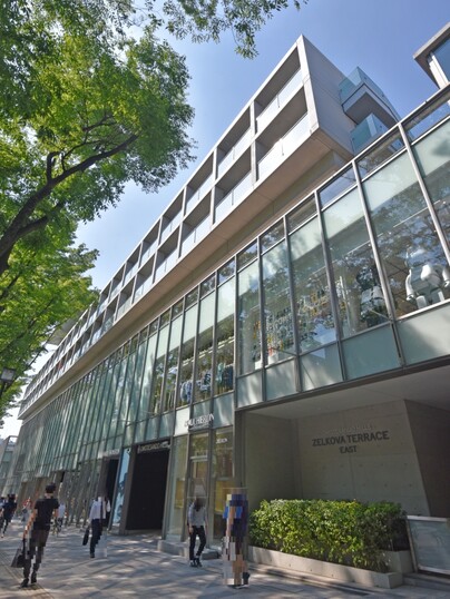 表参道ヒルズゼルコバテラス
