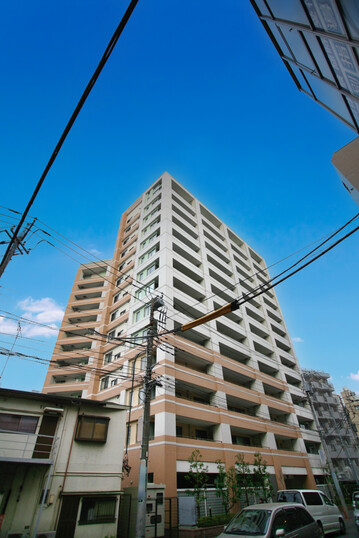 アデニウム小田急相模原
