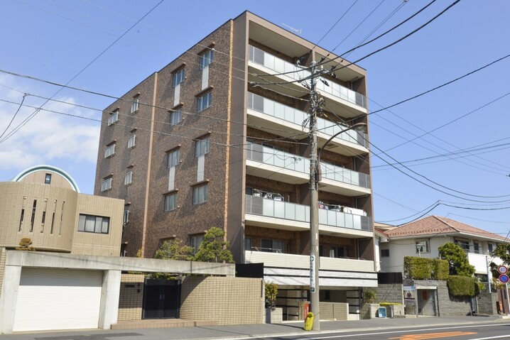ミオカステーロ平塚八重咲