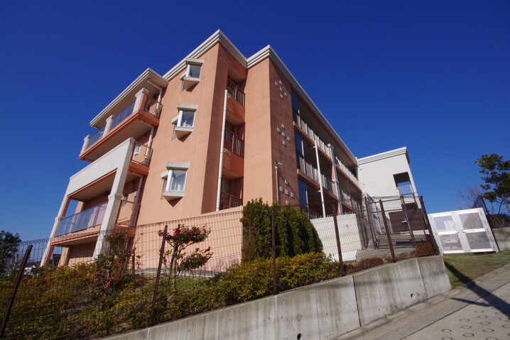 アデニウム葉山一色