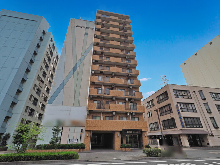 ダイアパレス川崎元木町