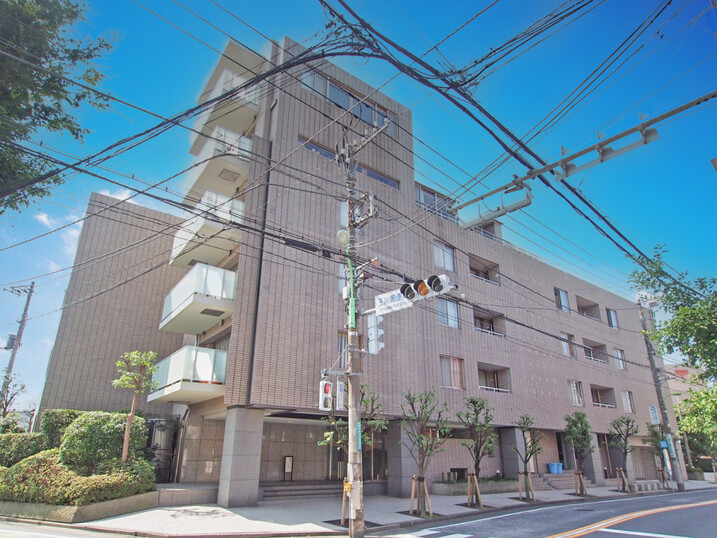 等々力グランドヒルズ