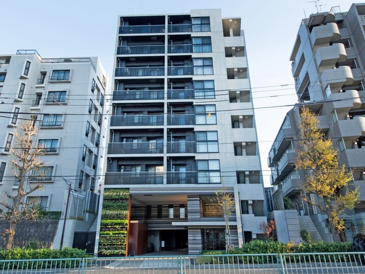 ズーム都立大学
