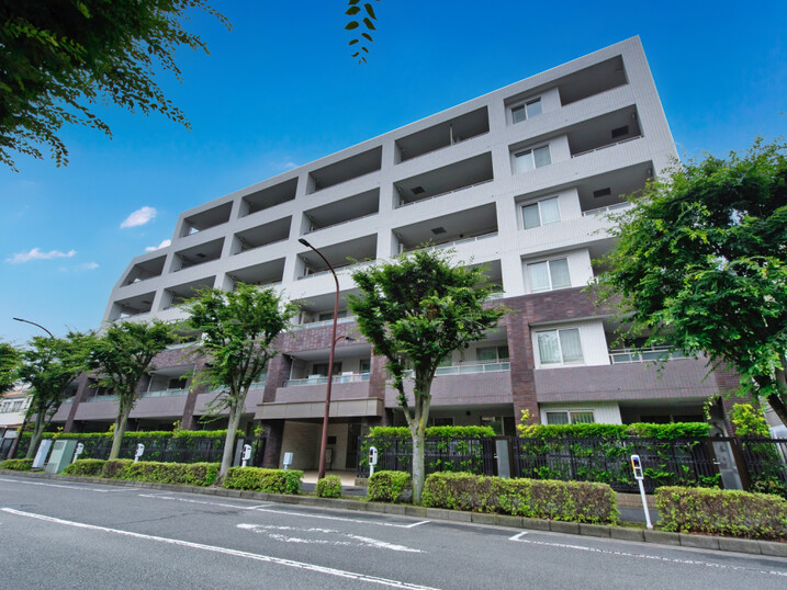 ディークラディア成瀬欅坂
