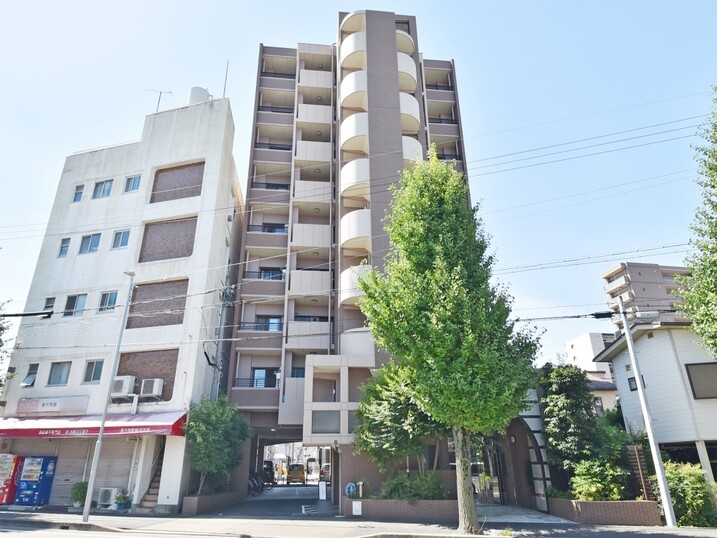 ヴィアレ若葉