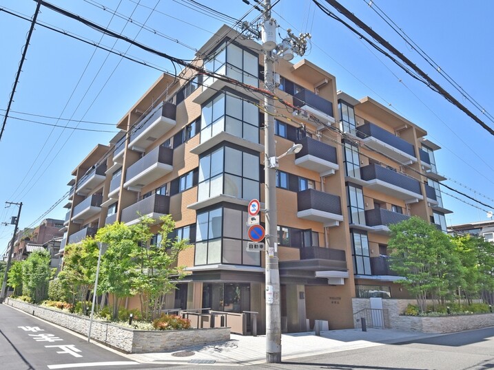 ウェリス帝塚山