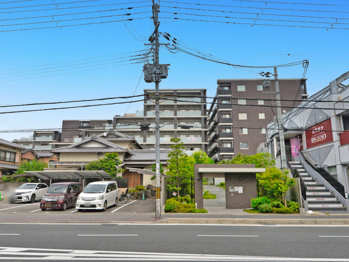 アイト（Aito）