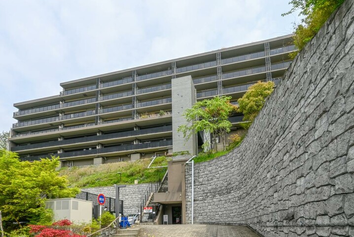 アデニウム鎌倉山