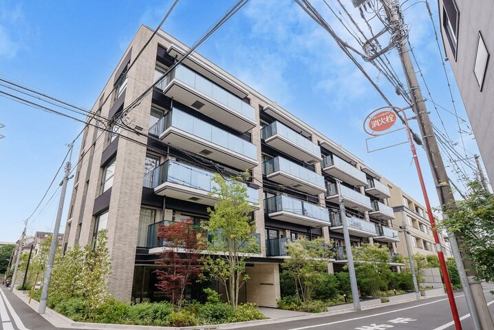 ディアナコート学芸大学翠景