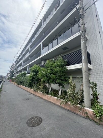 サンクレイドル成増