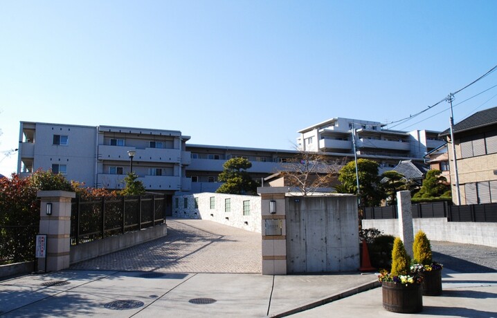 アデニウム菊名
