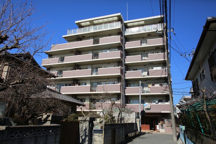 アデニウム船橋法典