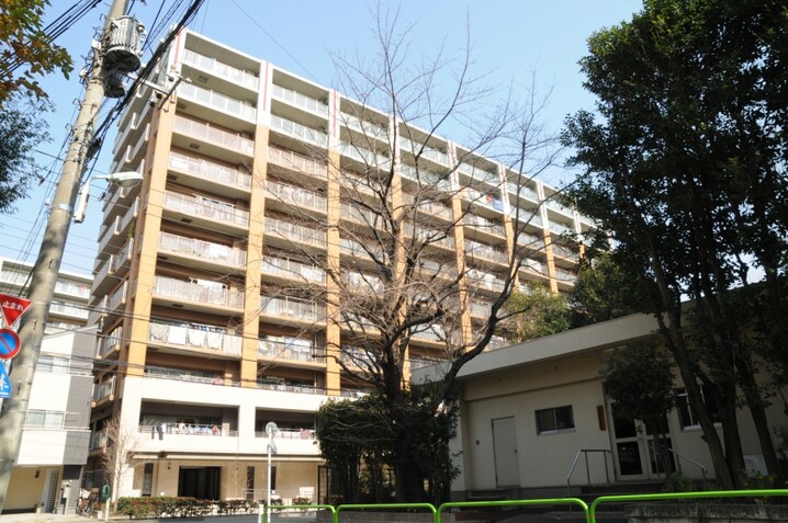 セルリアンフォートエアリーフォート