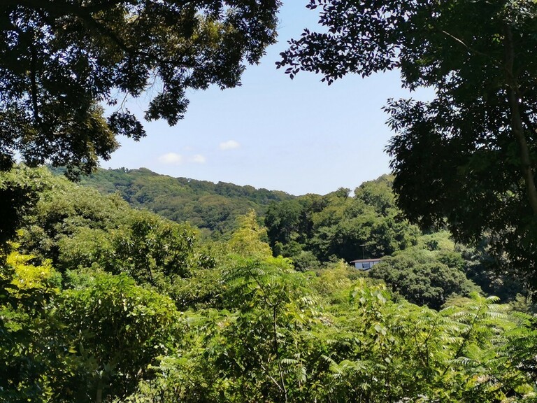 神奈川県鎌倉市山ノ内(家屋建設スペースからの風景～眺望が抜けており、鎌倉の山々を見渡すことができます～)