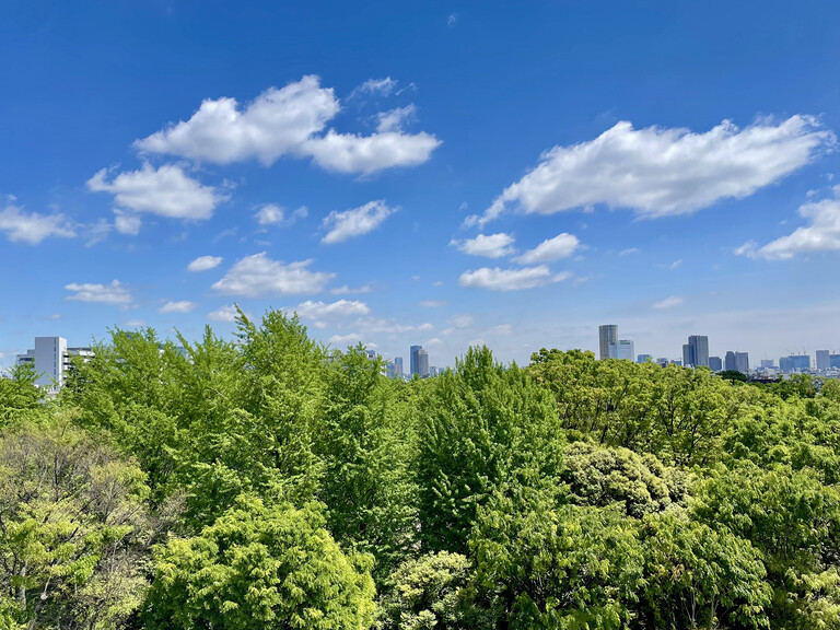 マンション京都世田谷(北東側バルコニーからの眺望（撮影日2024年4月）)